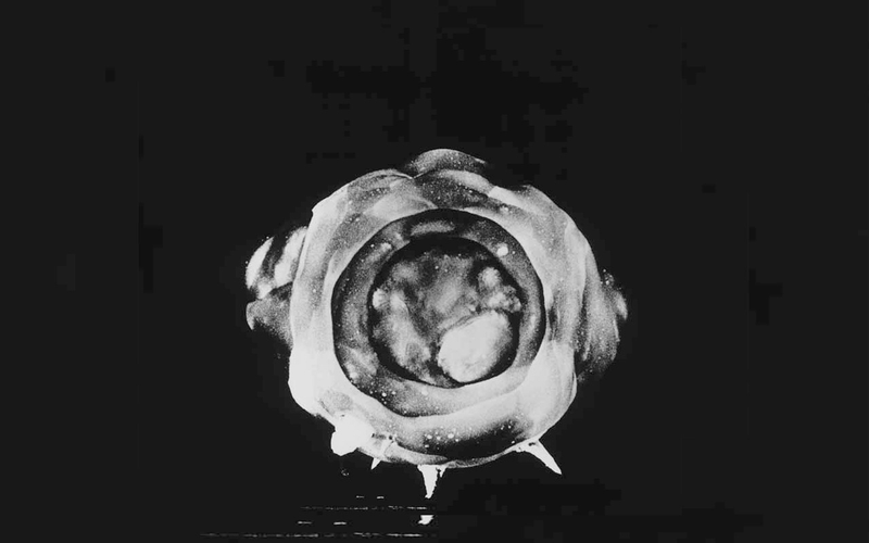 Illustration for article titled Photographs of Atomic Bomb Tests Are Like Science Fiction Made Real